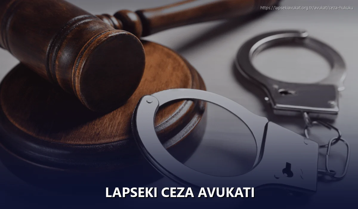 Lapseki Ceza Avukatı