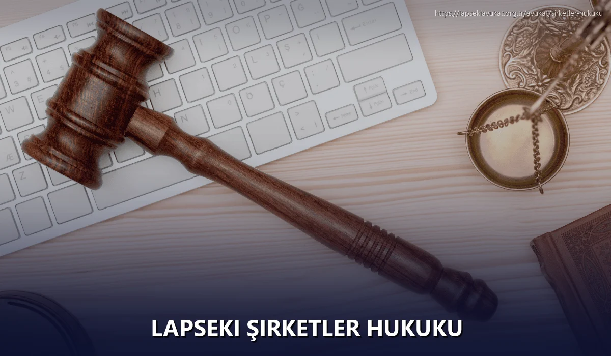 Lapseki Şirketler Hukuku